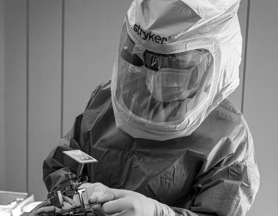 Pathologies orthopédiques